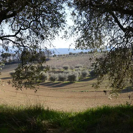 La Casa Di Zoe Al Borgo Bed & Breakfast