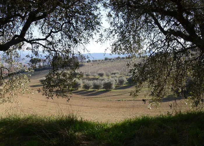 La Casa Di Zoe Al Borgo Bed & Breakfast